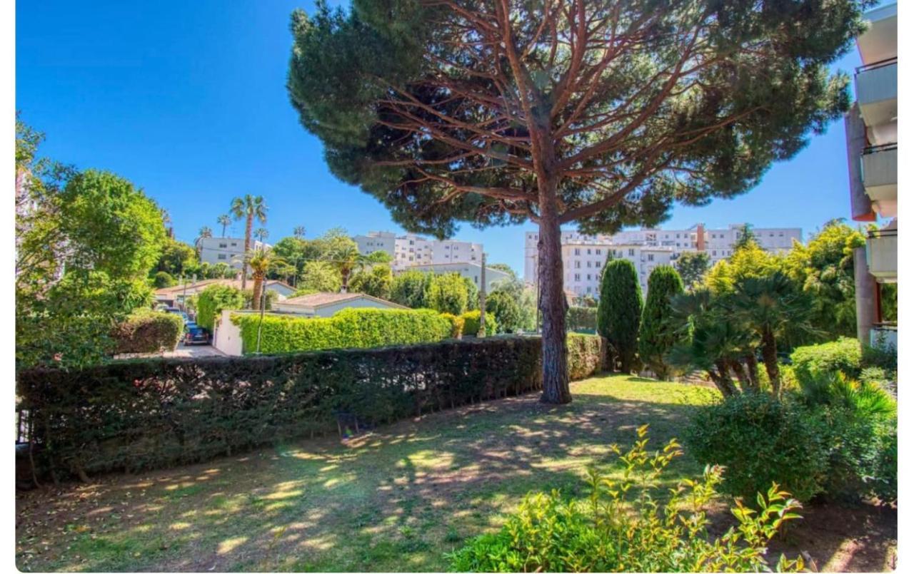 Superbe Studio Lumineux Sur Cannes Avec Terrasse ! A Quelques Minutes De La Celebre Rue D'Antibes ! ภายนอก รูปภาพ