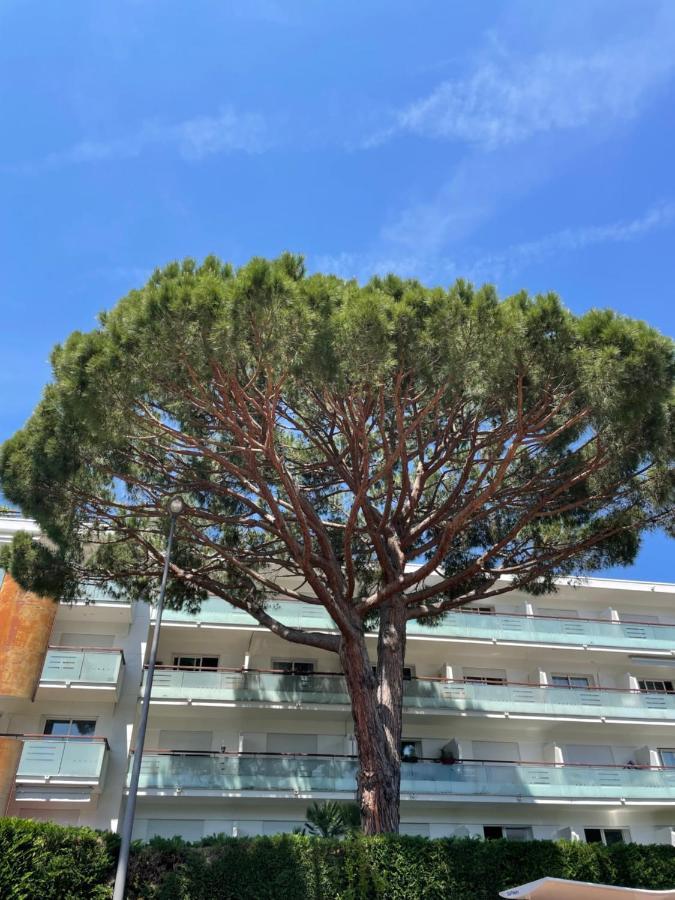 Superbe Studio Lumineux Sur Cannes Avec Terrasse ! A Quelques Minutes De La Celebre Rue D'Antibes ! ภายนอก รูปภาพ